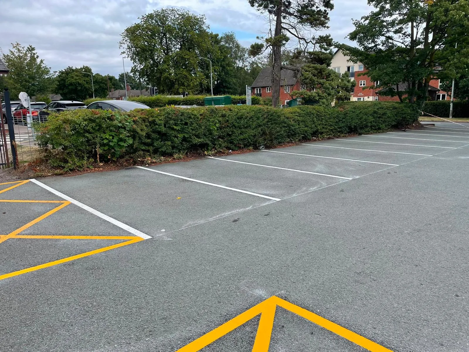 White car park line markings along a hedge, with yellow hatching in the foreground and parked cars beyond