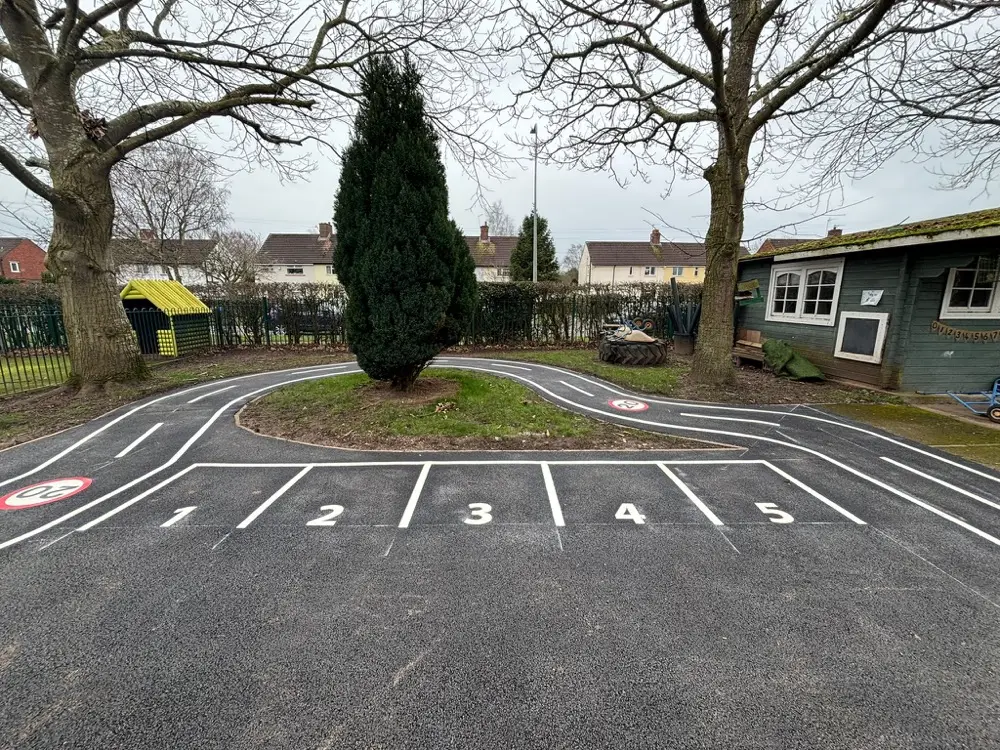 White roadway markings with numbered bays and speed roundels looping around a tree on a school playground