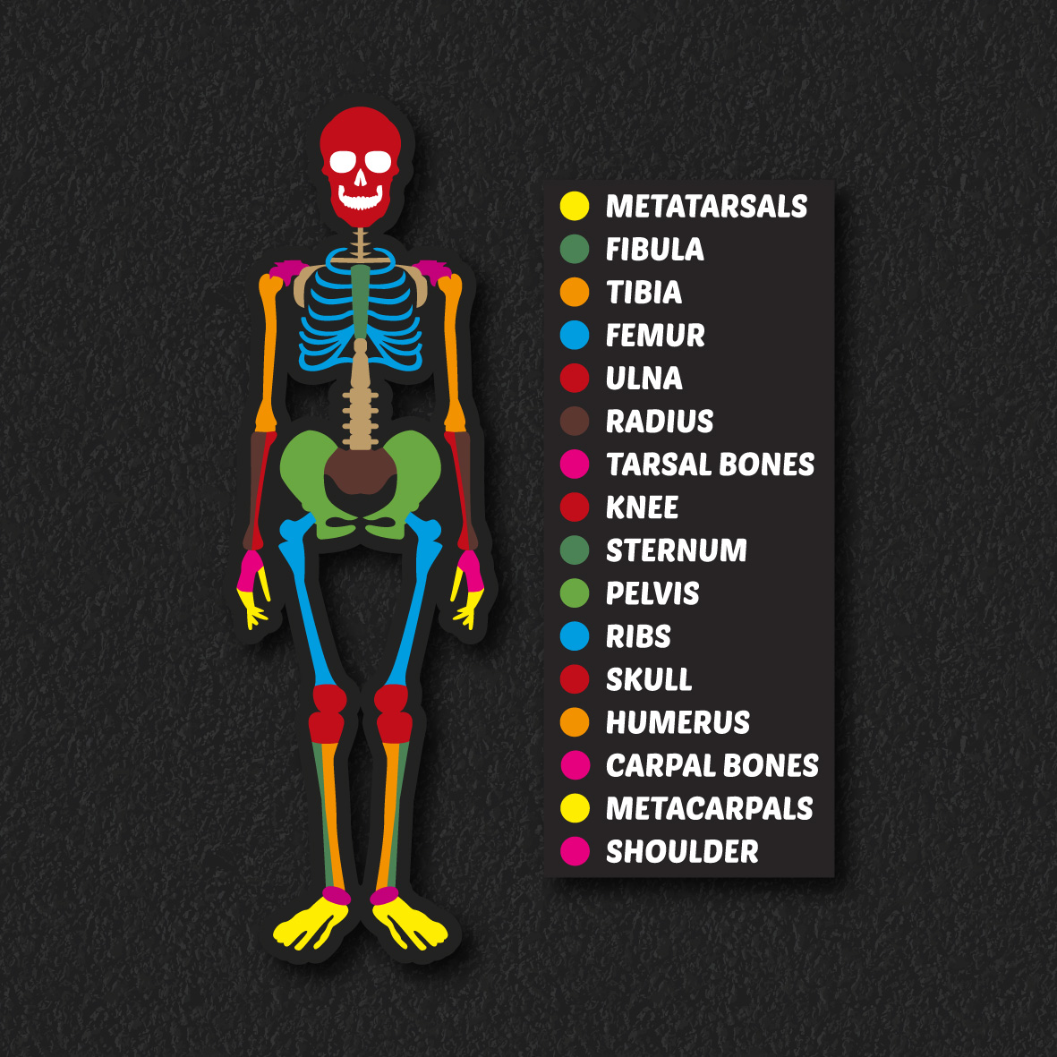 Skeleton thermoplastic playground marking